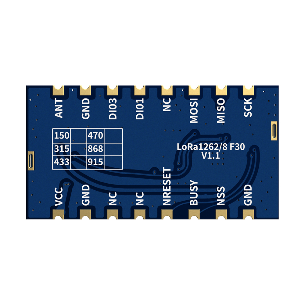 LoRa1262F30 : Module LoRa SX1262 2W TCXO avec protection ESD