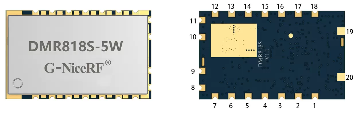 Module DMR et DMR818S-5W