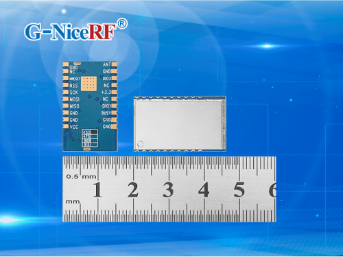 Module LoRa 1W haute performance de petite taille LoRa1268F30-Mini