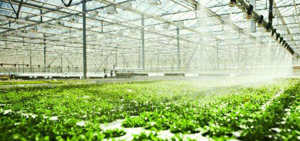 irrigation agricole intelligente