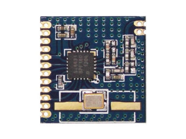 Quelle est la différence entre le module sans fil avec et sans MCU