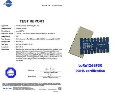 Le module NiceRF LoRa LoRa1268F30 a passé la certification RoHS