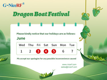 Avis du Festival des bateaux-dragons par NiceRF