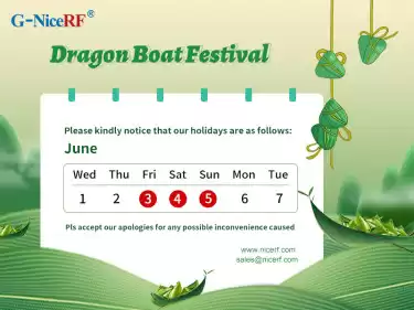 Avis du Festival des bateaux-dragons par NiceRF