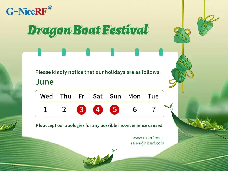 Avis du Festival des bateaux-dragons par NiceRF