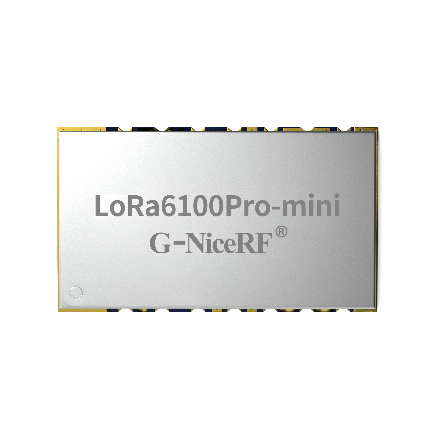 Module r&eacute;seau sans fil s&eacute;rie LoRa6100Pro-mini&nbsp;: 1&nbsp;W